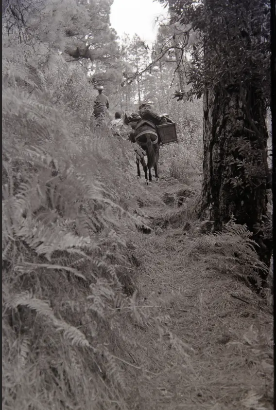 Excursión a La Caldera.